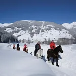 Apartmán Spacious Near Area In Mayrhofen