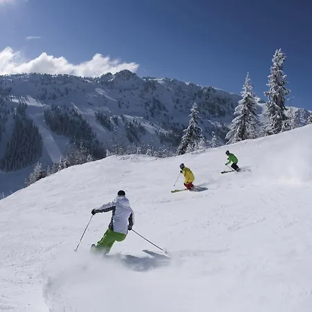 Spacious Near Area In Appartement *