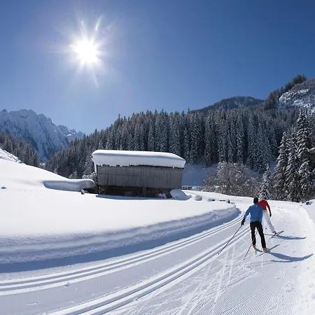 Spacious Near Area In Appartement Mayrhofen